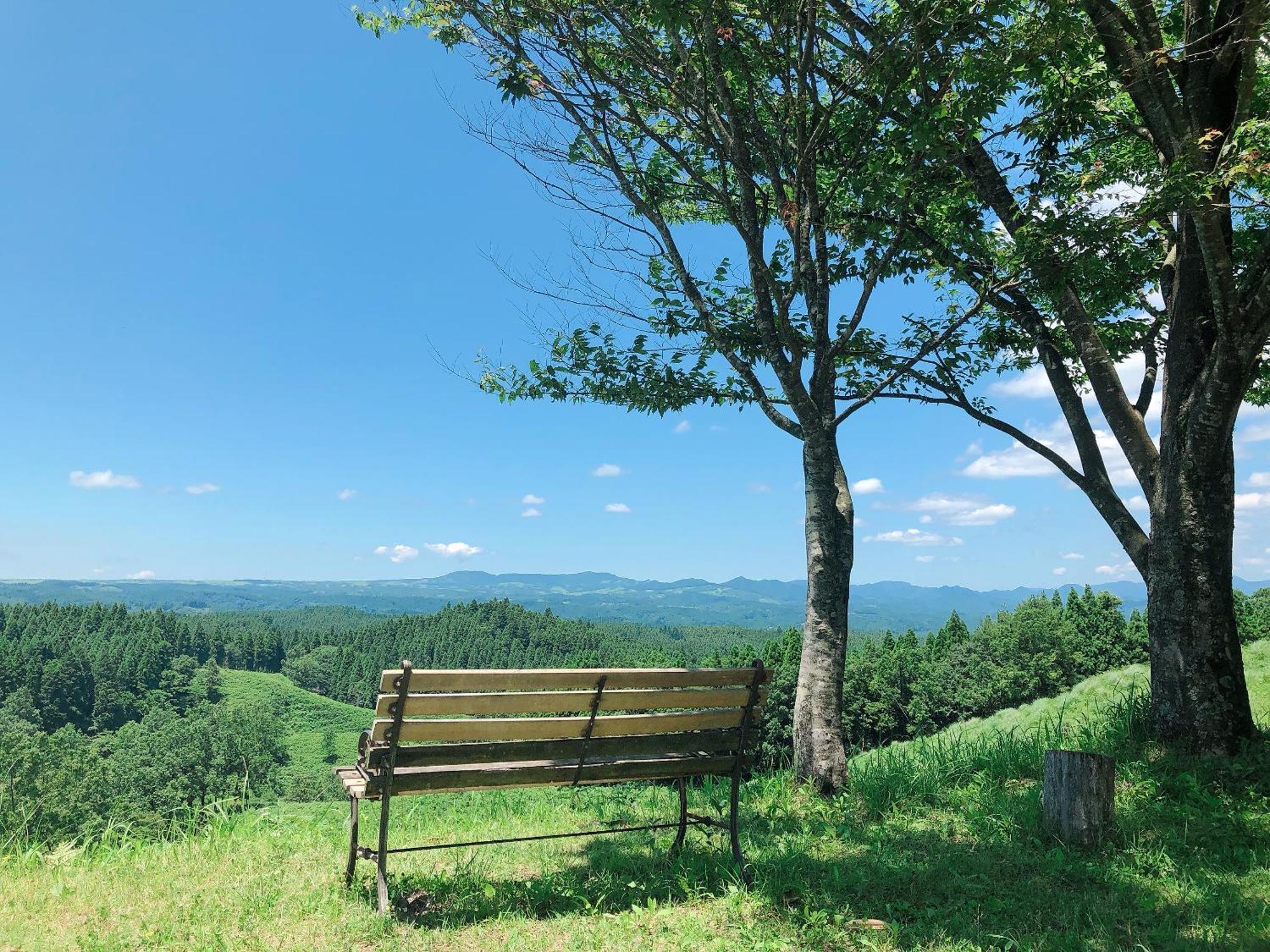 Kurasako Onsen Sakura Villa Minamioguni Bagian luar foto
