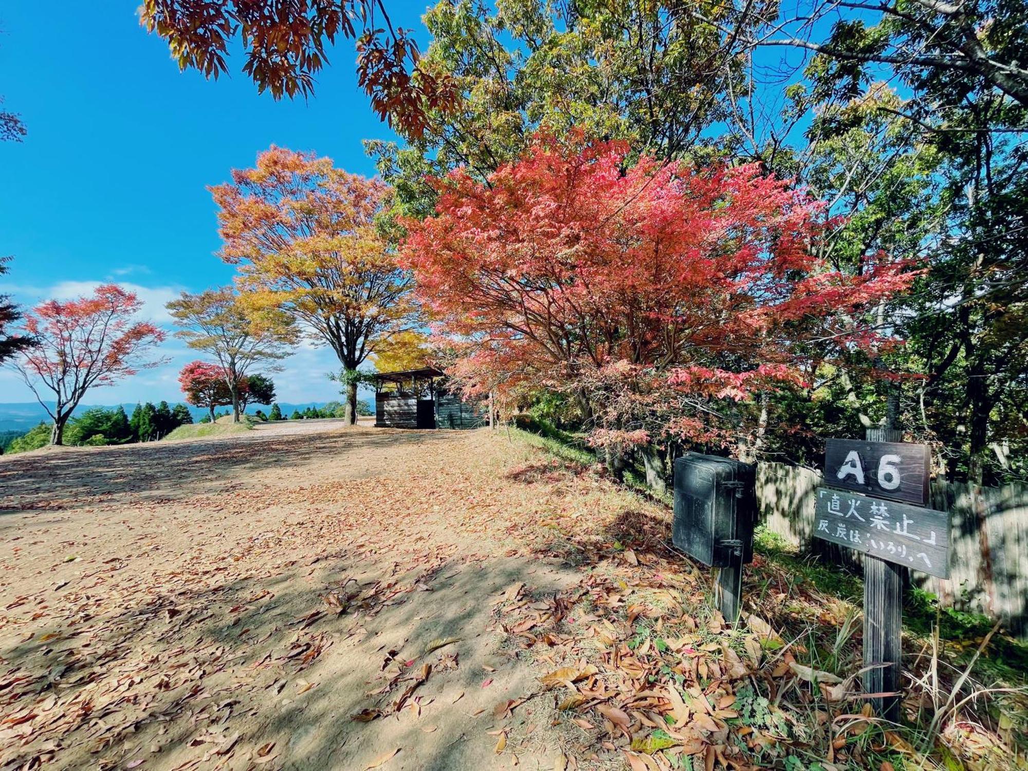 Kurasako Onsen Sakura Villa Minamioguni Bagian luar foto